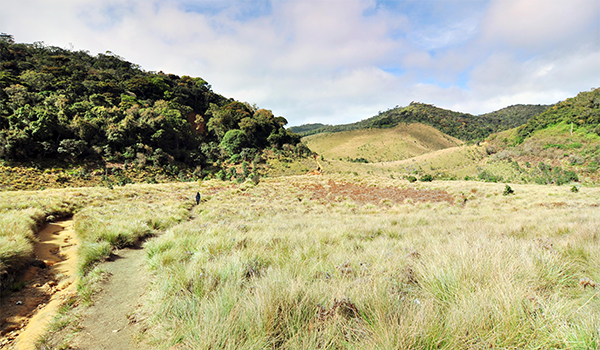 Horton Plains